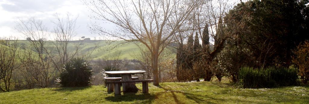 Agriturismo Castello Saltemnano Buonconvento Ngoại thất bức ảnh
