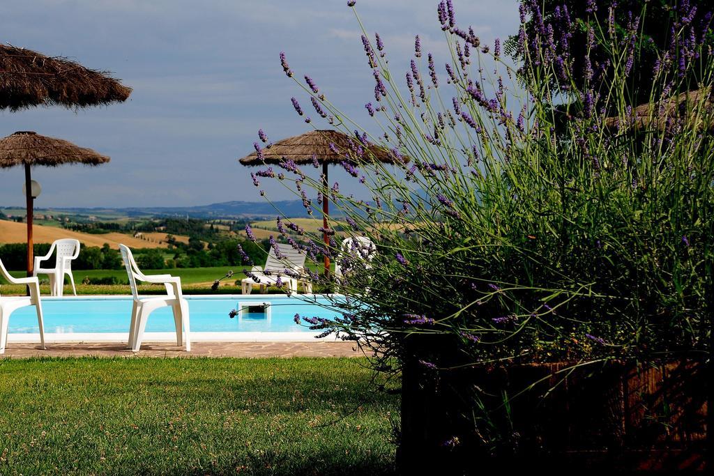 Agriturismo Castello Saltemnano Buonconvento Ngoại thất bức ảnh