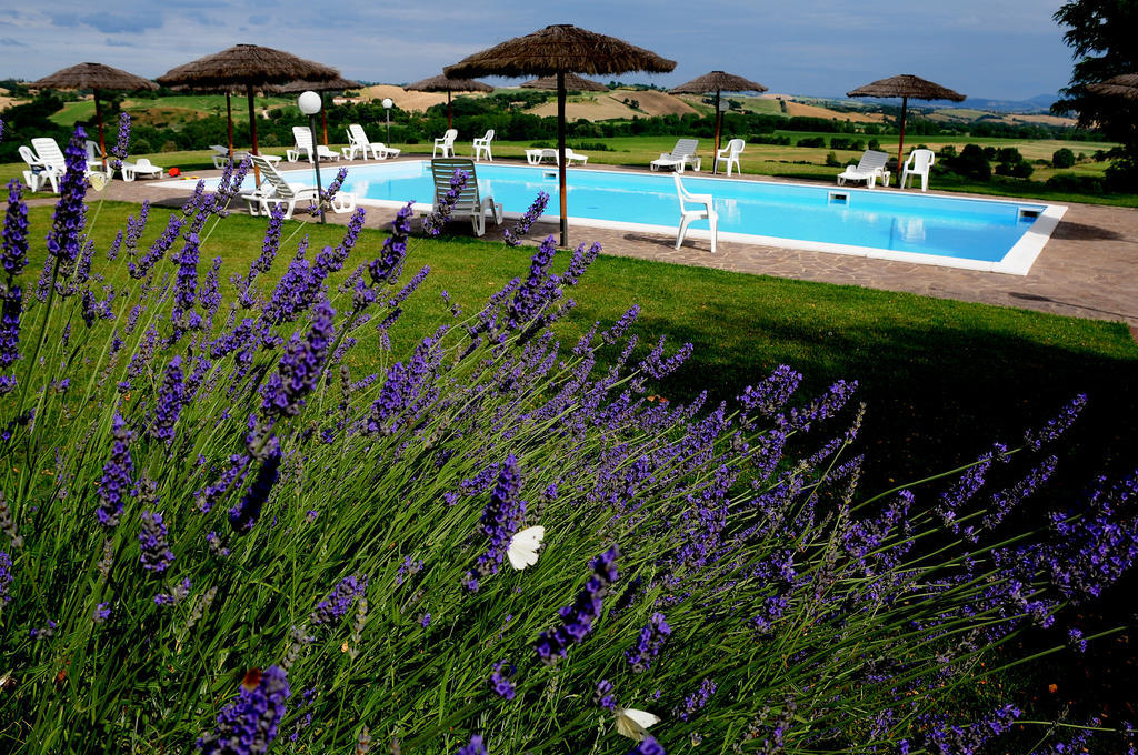 Agriturismo Castello Saltemnano Buonconvento Ngoại thất bức ảnh
