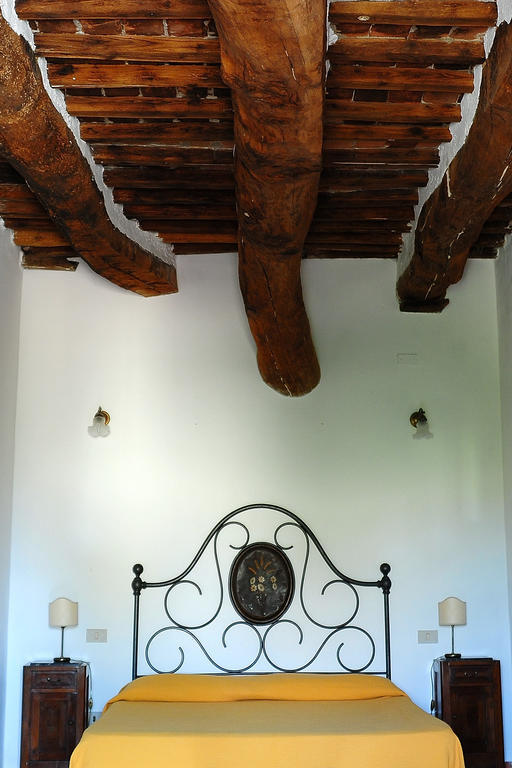 Agriturismo Castello Saltemnano Buonconvento Phòng bức ảnh