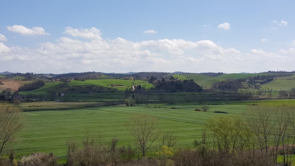 Agriturismo Castello Saltemnano Buonconvento Ngoại thất bức ảnh