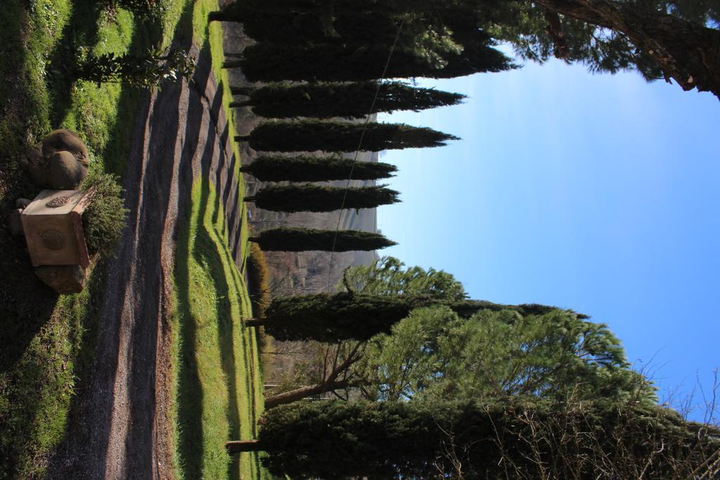 Agriturismo Castello Saltemnano Buonconvento Ngoại thất bức ảnh